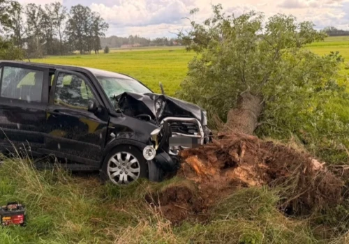 Samochód uderzył w drzewo w gminie Nowe Piekuty. Kierującą zabrało LPR