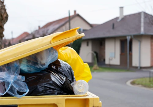 Od 1 stycznia nowy obowiązek dla właścicieli. Śmieci trzeba będzie zabezpieczyć