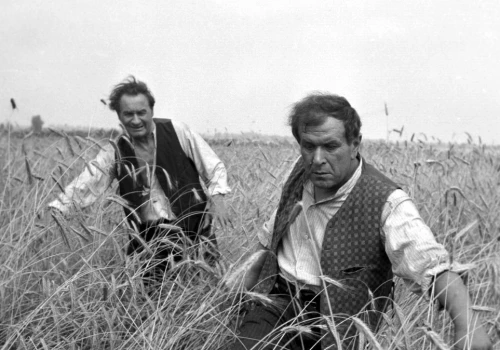 Dziś w telewizji ponadczasowa polska komedia. Przyciąga pokolenia widzów