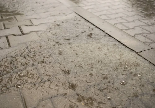 Chłodno i deszczowo. W górach znów spadnie śnieg