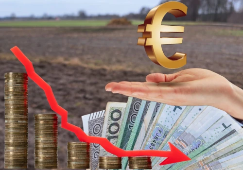 Dopłaty za 2026 będą wyższe niż rok i dwa lata temu? Kurs euro na to wskazuje