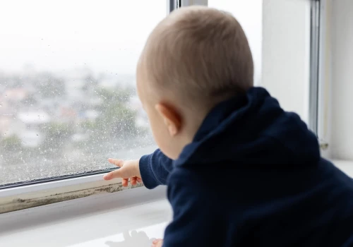 Lokatorzy mieszkań socjalnych skarżą się na pleśń. Ustawa Awaaba nie działa