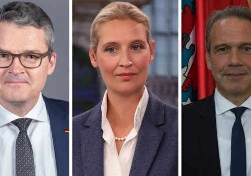 AfD zapowiada zmianę polityki Niemiec. "Naruszyłoby konstytucję"