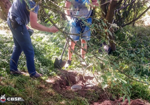 Narkotykowy gang rozbity. Policjanci dwa lata deptali im po piętach