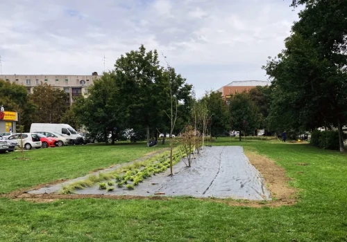 Pikniki sąsiedzkie na Fabrycznej i Zakaczawiu w Legnicy