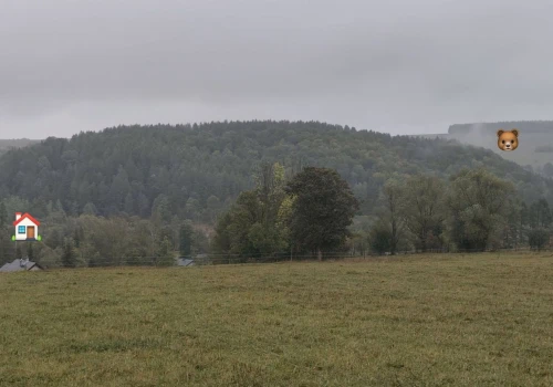 Jeździli konno, gdy nagle zobaczyli uciekającego mężczyznę...Niedźwiedź ruszył za nimi w pogoń