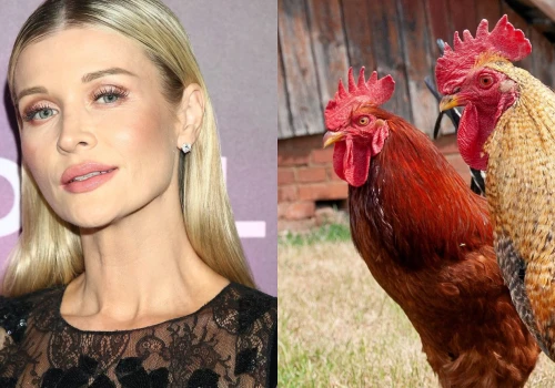 Oto, co Joanna Krupa ma lodówce. To wyznanie może zaskakiwać