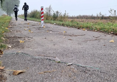 Ścieżka rowerowa przegrywa z korzeniami drzew