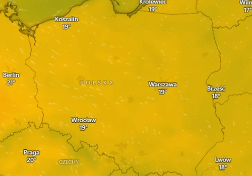 Gdzie popada, a gdzie temperatura wzrośnie? Szykuje się pogodowy zwrot