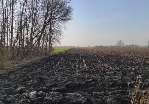 Wydzierżawię ziemię za pół ceny. Oferta specjalna dla GUS