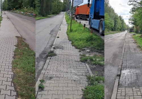 Chodniki na Wesołej zarastają. Mieszkańcy czekają na porządki