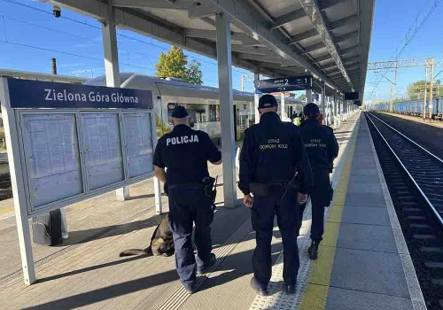 Zielona Góra. Awaryjnie zatrzymał pociąg, interweniowały służby