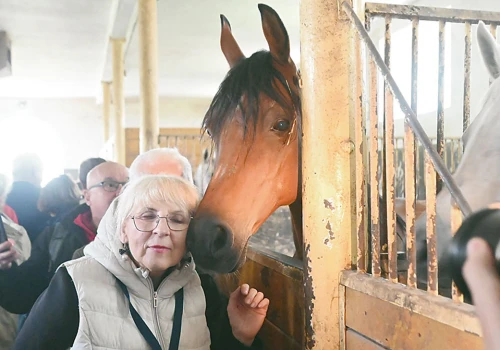 Śladami historii powiatu