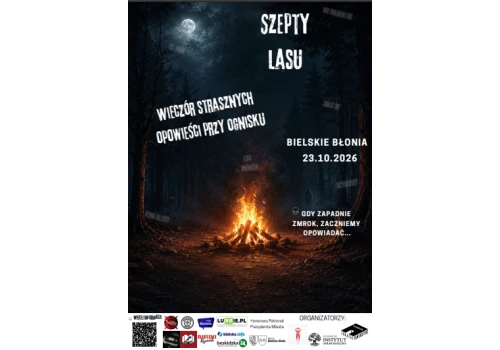 „Szepty lasu” na Bielskich Błoniach. Straszne historie przy prawdziwym ognisku