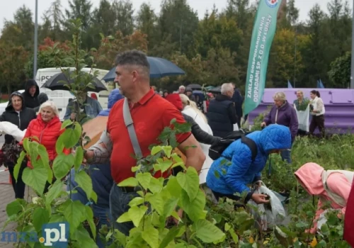 Sadzonki za odpady. Akcja ponownie przyciągnęła tłumy