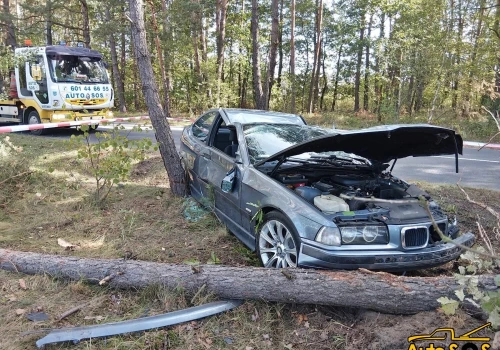 Zasnął za kierownicą i uderzył w drzewa. Wypadek w Świerczyńcu