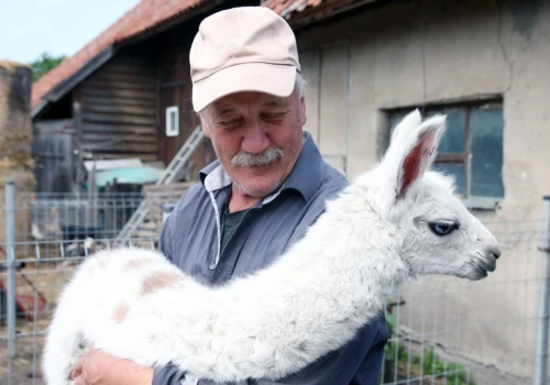 Gmina Barczewo. W Nikielkowie zobaczysz m.in. kangurzycę albinoskę