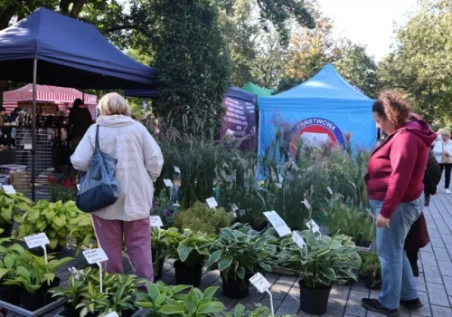 Kolejny Targ na Plantach