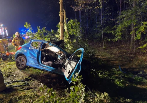 Nocny wypadek w Wielkopolsce. Peugeot uderzył w drzewo, kierowca został uwięziony w aucie