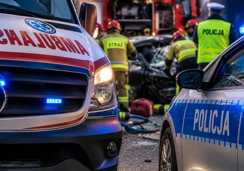 Tragiczny wypadek na DW 106. Samochód uderzył w drzewo, kierowca spłonął w aucie