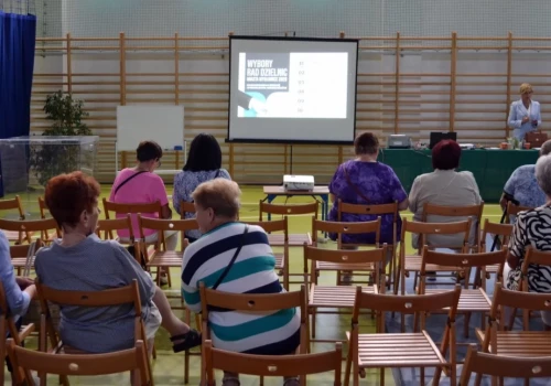 Wybory do rad dzielnic w Mysłowicach. Od poniedziałku kolejne głosowania