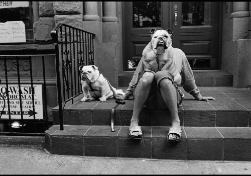 Elliott Erwitt uwielbiał robić zdjęcia psom. Powód? „Nie sprzeciwiają się fotografowaniu i nie proszą o odbitki”