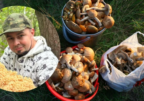 Polski grzybiarz trafił na giganta. Pokazał zdjęcie, a internauci oszaleli. 