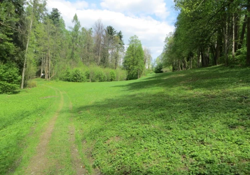 Czy gmina przejmie park w Kamesznicy?