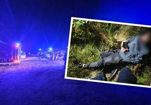 Pijany ruszył na grzyby. Gdy zapadł zmrok zgubił się w lesie i spanikował