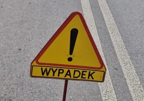 Wypadek pod Ciechanowem. Motocyklista zderzył się z sarną