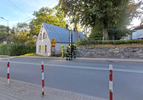 Błyskawiczna interwencja strażaków