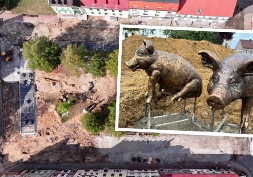 To miasto stawia na nowy symbol. Na rynku pojawiają się… prosiaki