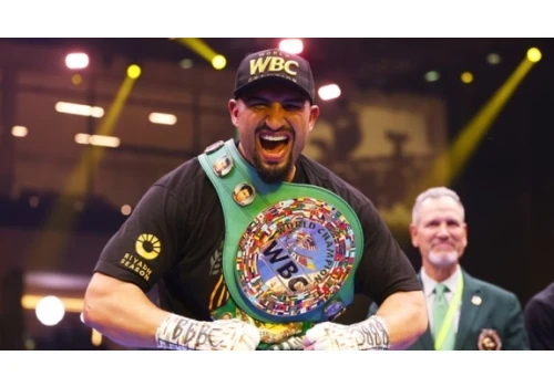 KABAYEL - HYSA O PAS WBC 28 LISTOPADA