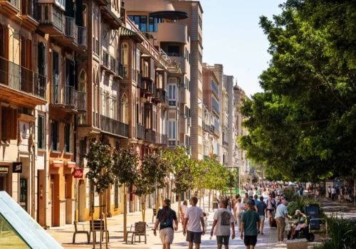 Costa del Sol, Majorka czy Wyspy Kanaryjskie? Jak wybrać region Hiszpanii na wakacje