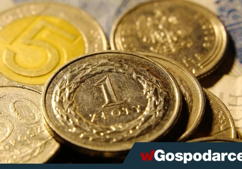 Złoty siedzi okrakiem