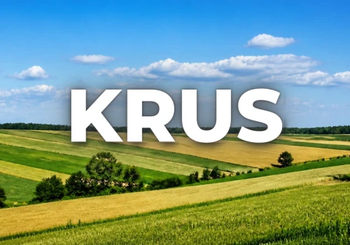 Rozwód a KRUS. Czy rozwiedziona żona może zostać w ubezpieczeniu rolniczym?