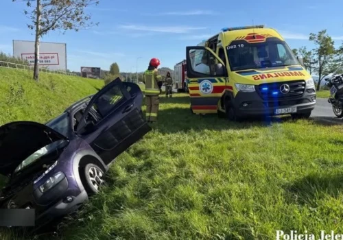 Owad w samochodzie rozproszył kierującą. Citroen wpadł do rowu.