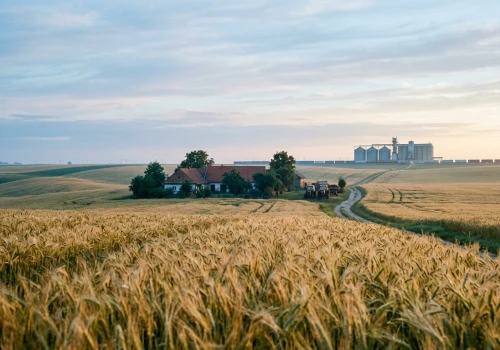 Polska chciała hamulca dla Mercosur.