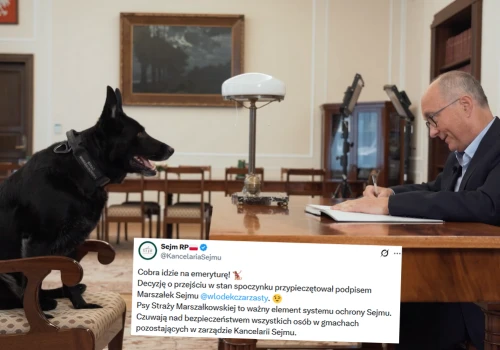 Suczka Cobra, pracująca od ośmiu lat w Sejmie, przeszła na emeryturę