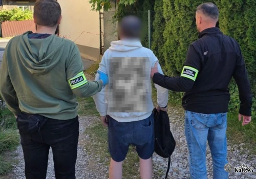 Fałszywe paszporty, więzienie i groźby na lotnisku. Seria interwencji pograniczników z Nowego Sącza