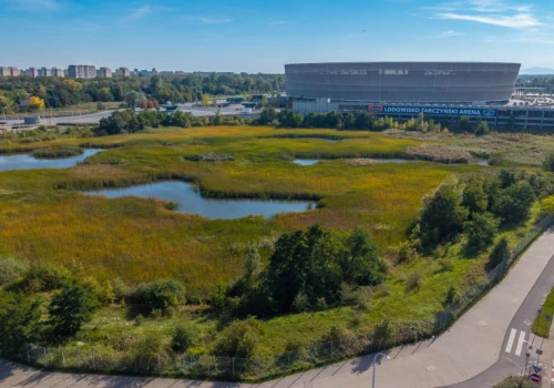 24 tys. widzów i koszt 900 mln zł. Taki gigant może stanąć obok stadionu we Wrocławiu