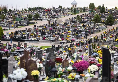 Bezpłatne meleksy wracają na Cmentarz Wilkowyja. Będą kursować także przed Wszystkimi Świętymi