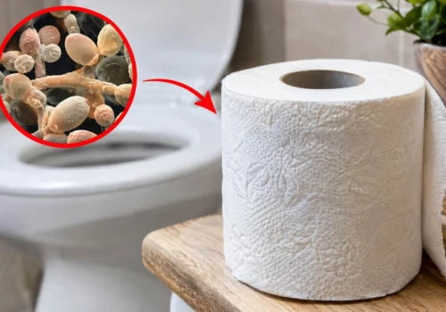 Ten papier toaletowy sprzyja grzybicy. Miliony Polaków używają go codziennie