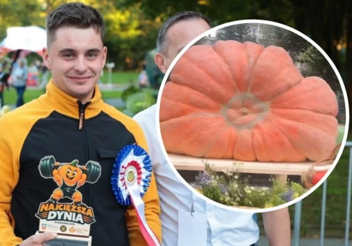 Wypija tysiąc litrów wody dziennie i waży 683 kg. Hodowca z Podhala zdradza sekret dyni-giganta