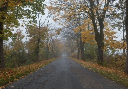 Słońce, mgły i deszcz. Prognoza pogody na 2 i 3 października