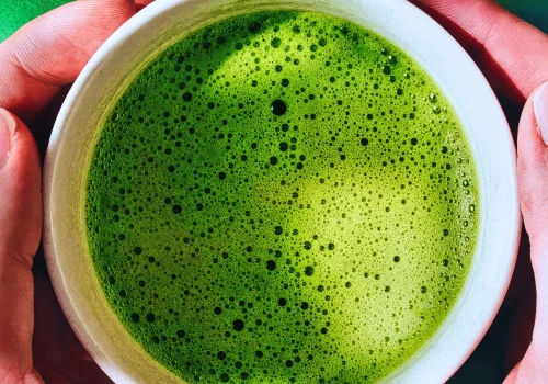 Podlaska matcha podbija Polskę. Główny składnik rośnie tylko w Hajnówce