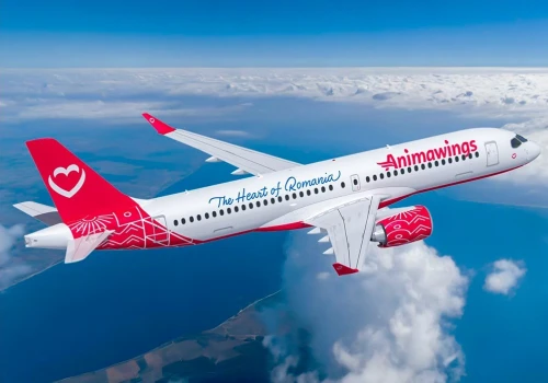 AnimaWings na skraju upadku. Wszystkie A220 uziemione