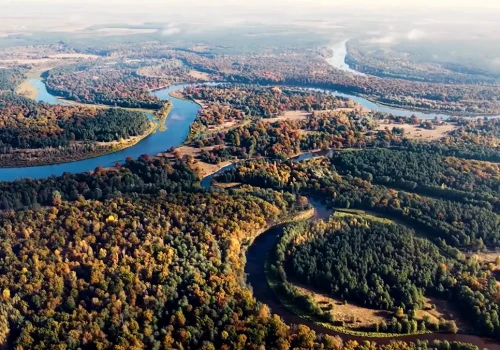 Ujście Szczary do Niemna. 40 sekund zachwytu jesienią (WIDEO)
