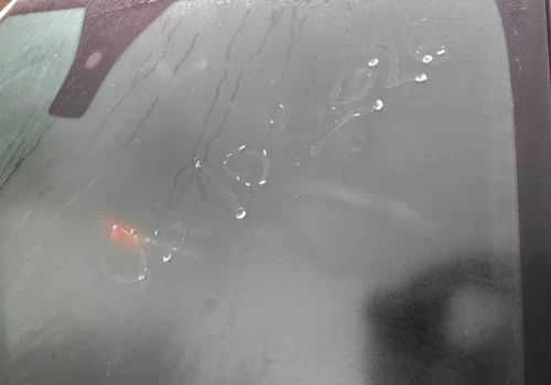 Przymrozki na początku października. W pomiarach nawet −4°C