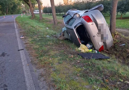 Groźny wypadek w Celejowie. 22-latek uderzył Peugeotem w drzewo
